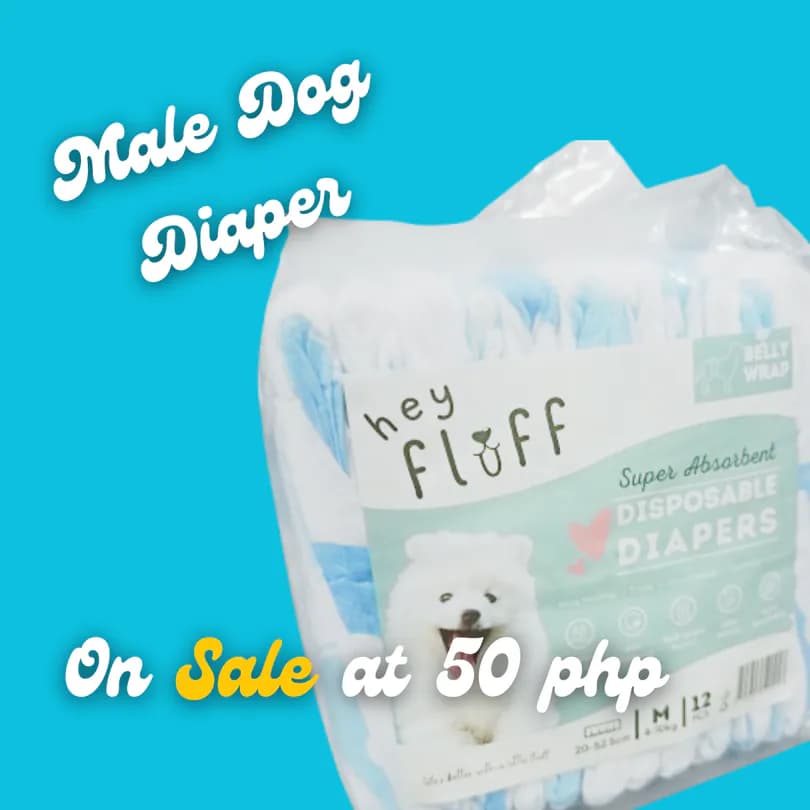 Product Featured